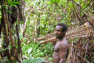 Inside the Secret Lives of the World's Isolated Tree-Dwelling Tribes - image 1