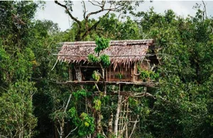 Inside the Secret Lives of the World's Isolated Tree-Dwelling Tribes - image 7