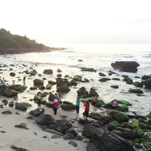 Discover the Mystical Green Moss Season of Nam O Reef in Da Nang - image 7