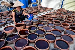 Discover the Mystical Green Moss Season of Nam O Reef in Da Nang - image 2