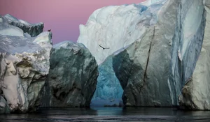 Inside Greenland: The World’s Largest Island Donald Trump Wanted to Buy - image 4