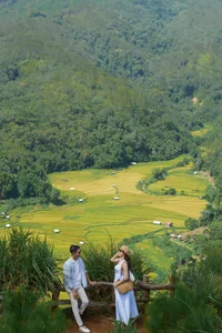 Exploring the Golden Rice Fields of Kon Tu Rang in Central Highlands - image 9