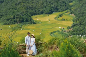 Exploring the Golden Rice Fields of Kon Tu Rang in Central Highlands - image 4