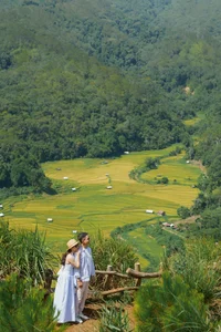 Exploring the Golden Rice Fields of Kon Tu Rang in Central Highlands - image 0