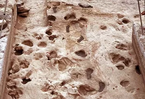 Ancient Discoveries: 1.5 Million-Year-Old Footprints Reveal Secrets of Early Human Ancestors - image 6