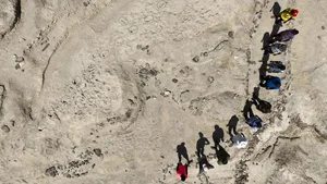 Ancient Discoveries: 1.5 Million-Year-Old Footprints Reveal Secrets of Early Human Ancestors - image 5