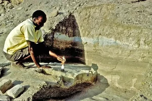 Ancient Discoveries: 1.5 Million-Year-Old Footprints Reveal Secrets of Early Human Ancestors - image 0