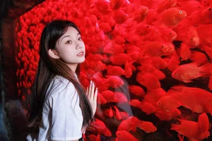 Art Language Vol.5247 Featuring Pei Tong Xue Gallery by YiTuYu - image 6