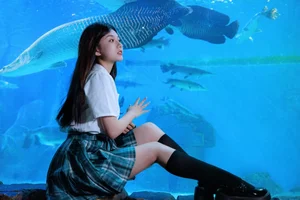 Art Language Vol.5247 Featuring Pei Tong Xue Gallery by YiTuYu - image 26