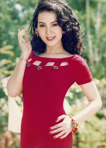 The Rise, Fall, and Quiet Life of a 1990s Vietnamese Beauty Icon - image 8