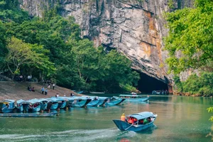 Family Trip to Quang Binh: 4 Days 3 Nights for Only 6 Million Per Person - image 7