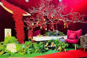Husband Creates Stunning DIY Tet Photo Studio for His Wife for Just 12 Million VND - image 10