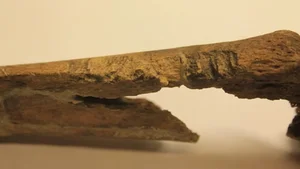 New Viking Discoveries in Norway: Archeological Breakthroughs Shed Light on Norse History - image 1