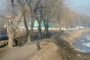 Rare Photos Reveal Daily Life and Untold Stories Inside North Korea - image 4