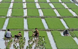 Rare Photos Reveal Daily Life and Untold Stories Inside North Korea - image 11