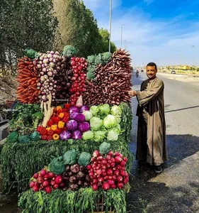 Breathtaking Visuals of Daily Life and Ancient Wonders in Modern Egypt - image 6