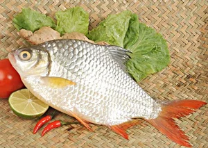 The Resurgence of a Rare Fish Species: From Near-Extinction to High Value - image 6