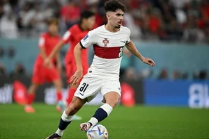 Euro 2024 Best XI: Spain Dominates the Team of the Tournament as Mbappe Misses Out - image 6