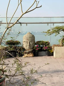 Inside the Stunning Nature Filled and Artistic Home of Singer Tung Duong - image 6