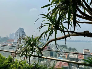 Inside the Stunning Nature Filled and Artistic Home of Singer Tung Duong - image 9