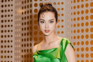 Actress Quynh Luong Speaks Out: Unexpected Accusations Against Ex-Husband - image 3