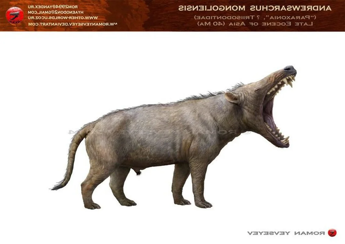The Terrifying Power of the Largest Predator Ever to Walk the Earth