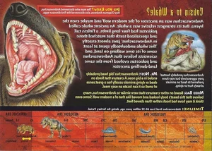 The Terrifying Power of the Largest Predator Ever to Walk the Earth - image 6
