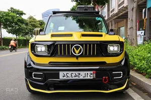 Custom VinFast VF3: A 500 Million VND Transformation of the Mini Electric Car - image 6