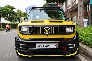 Custom VinFast VF3: A 500 Million VND Transformation of the Mini Electric Car - image 5