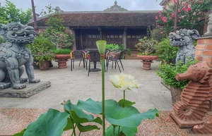 Inside a Stunning and Unique 500sqm Luxury Villa in Hanoi - image 11