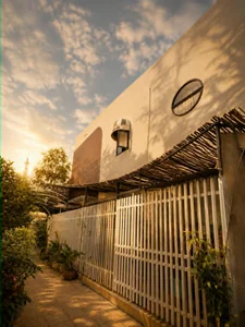 Emerald’s House: A Tropical Oasis Blending Greenery and Timeless Architecture - image 6