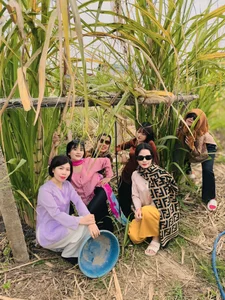 A Family of 500: The Massive Gathering in Hai Duong That Took 30 Minutes to Photograph - image 4