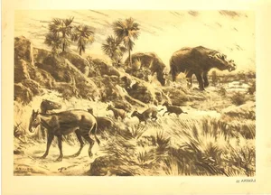 The Evolutionary Mystery: How Ancient Horses Shaped the Modern World - image 0