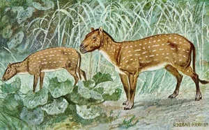 The Evolutionary Mystery: How Ancient Horses Shaped the Modern World - image 7