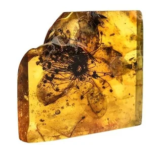 Unrivaled Gemstone Discovered in Antarctica: A Rare Geological Miracle - image 5