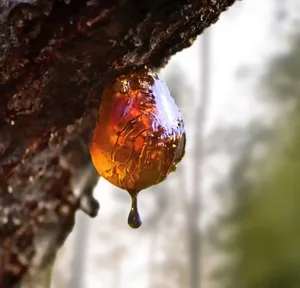 Unrivaled Gemstone Discovered in Antarctica: A Rare Geological Miracle - image 7