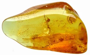 Unrivaled Gemstone Discovered in Antarctica: A Rare Geological Miracle - image 2
