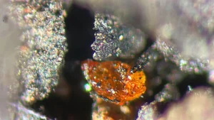 Unrivaled Gemstone Discovered in Antarctica: A Rare Geological Miracle - image 8