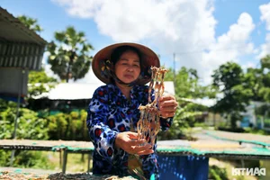 The High-Income Dilemma: Why Workers Abandon the Dried Frog Trade - image 2
