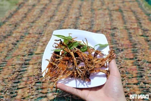 The High-Income Dilemma: Why Workers Abandon the Dried Frog Trade - image 4