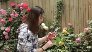 Kathy Chow: Remembering the Most Beautiful Zhou Zhiruo and Her Peaceful Garden Villa - image 2
