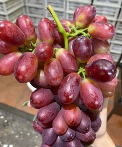 4 Trending Chinese Grape Varieties Dominating the Vietnamese Market - image 6