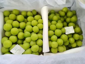 4 Trending Chinese Grape Varieties Dominating the Vietnamese Market - image 5