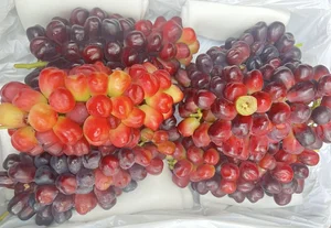 4 Trending Chinese Grape Varieties Dominating the Vietnamese Market - image 3