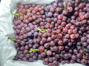 4 Trending Chinese Grape Varieties Dominating the Vietnamese Market - image 4