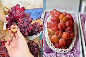 4 Trending Chinese Grape Varieties Dominating the Vietnamese Market - image 1