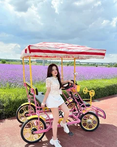 Stunning Nhat Binh Traditional Vietnamese Attire Worn by Tan Hiep Hung Heiress - image 9