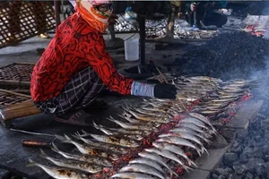 Springtime in the Traditional Grilled Fish Village of Nghe An, Vietnam - image 5