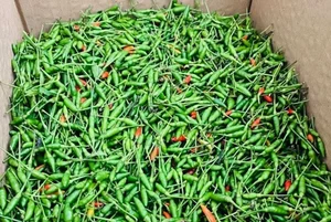 From Hedge Wildfruit to Luxury Treat: The Surprising Rise of Local Produce - image 4