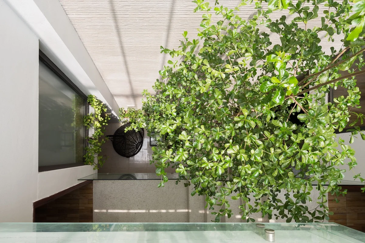 An Oasis of Green: Inside the Breathtaking Eco-Friendly Home in Bac Ninh